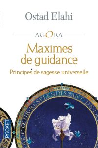 Maximes de Guidance-image