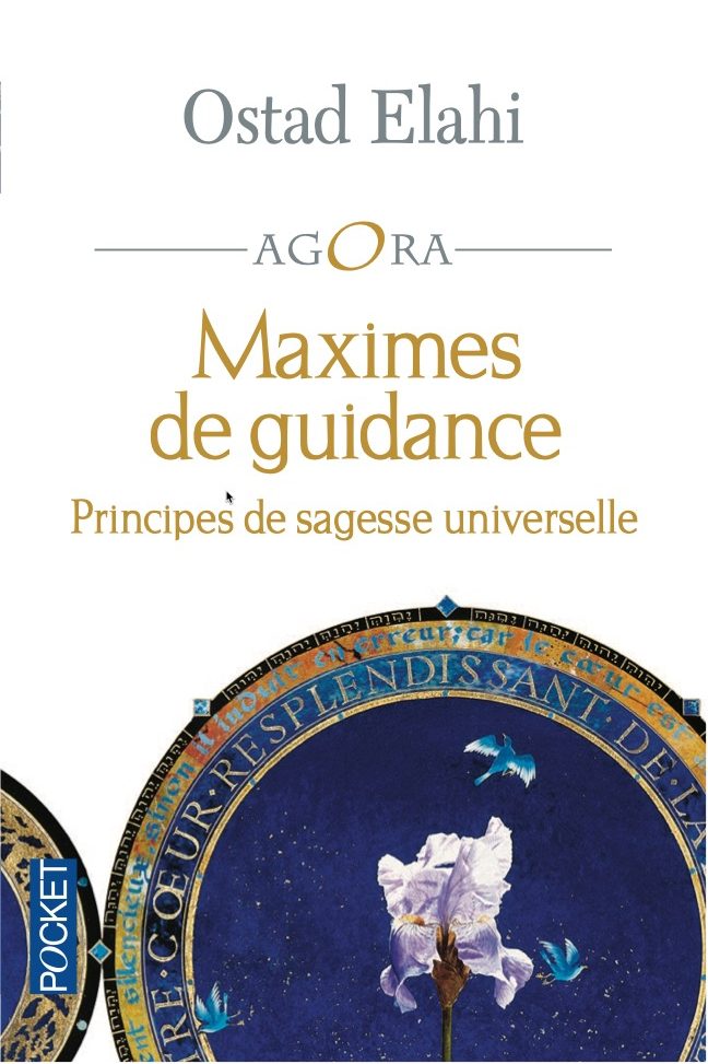 Maximes de Guidance-image